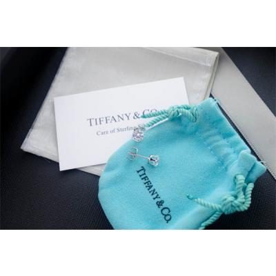 Tiffany Earrings 003